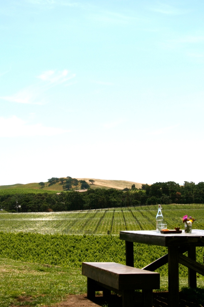 Sonoma Valley Travel Guide
